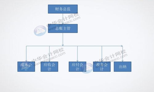 餐飲企業對出納有什么具體要求